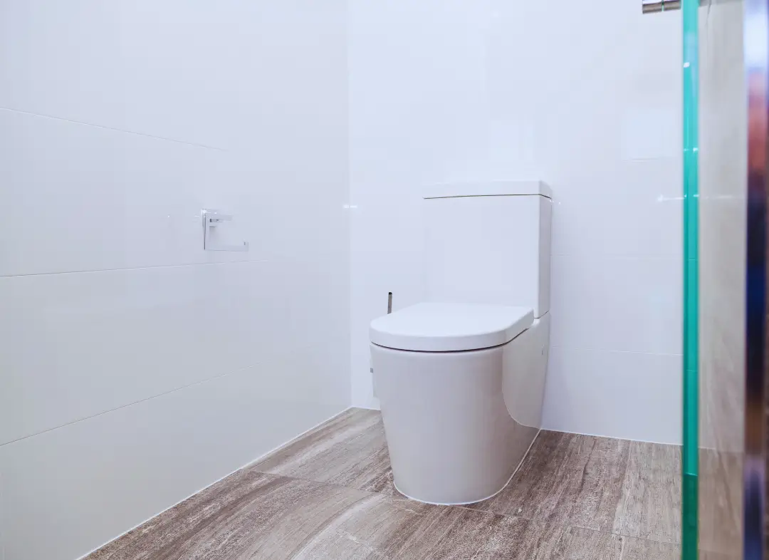 Remplacement de wc Bouloc